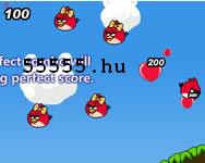 /album/ingyen-jatekok/angry-birds-cannon-3-jpg/